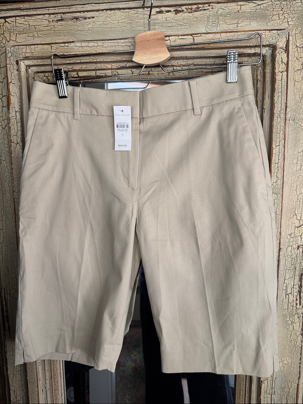 Ann Taylor Beige Men's Chino Shorts